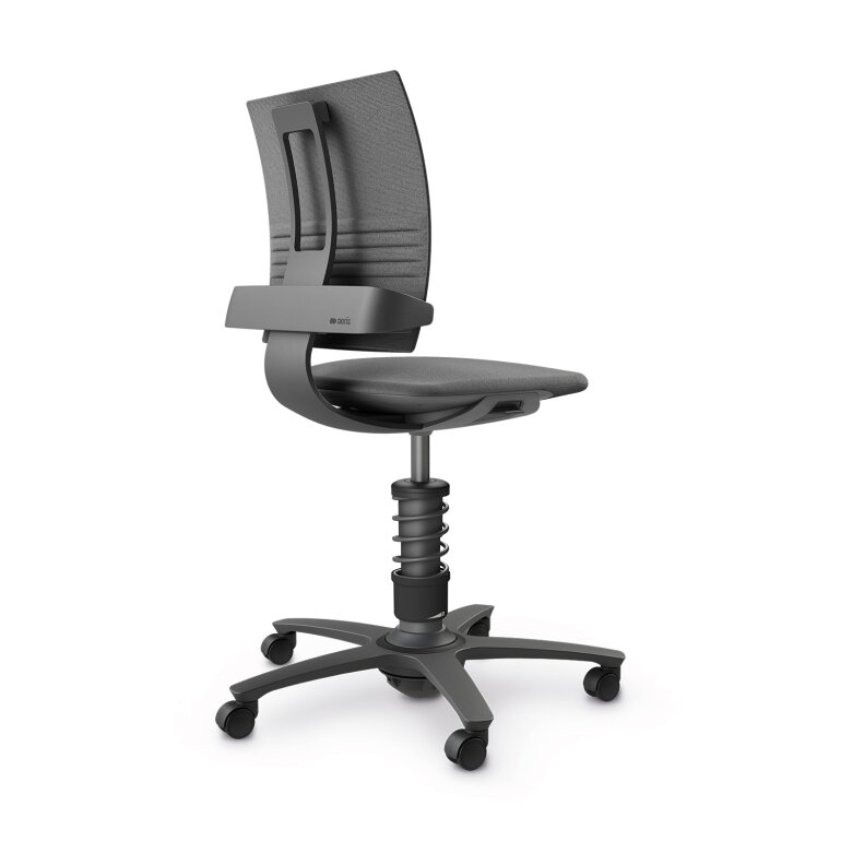 Aeris 3Dee | Feder Standard 50 -120 kg | Cura: Grau meliert | Gestellfarbe: Schwarz