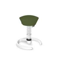 Aeris Swopper mit Gleiter